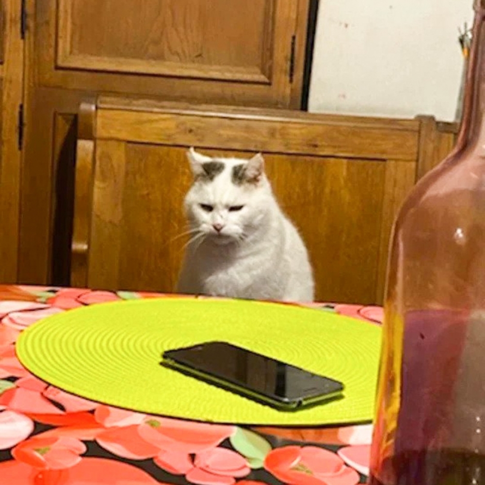 PO主：「這是偷了阿公的畫風吧？！」