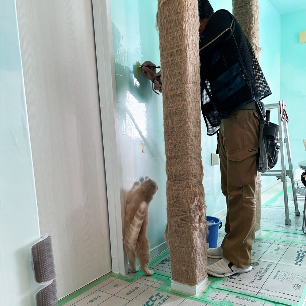 奴才：「嗯？怎麼少了一隻主子？！去哪裏了！」