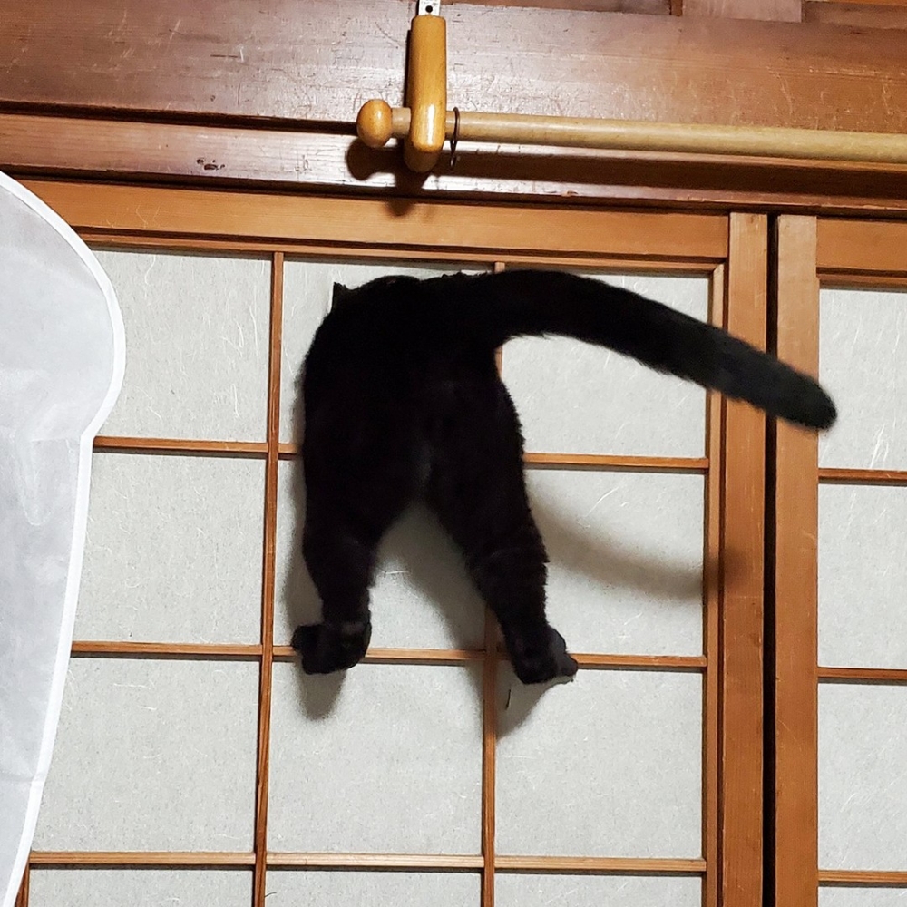 奴才：「我找不到詞彙來描述當下的心情了···」