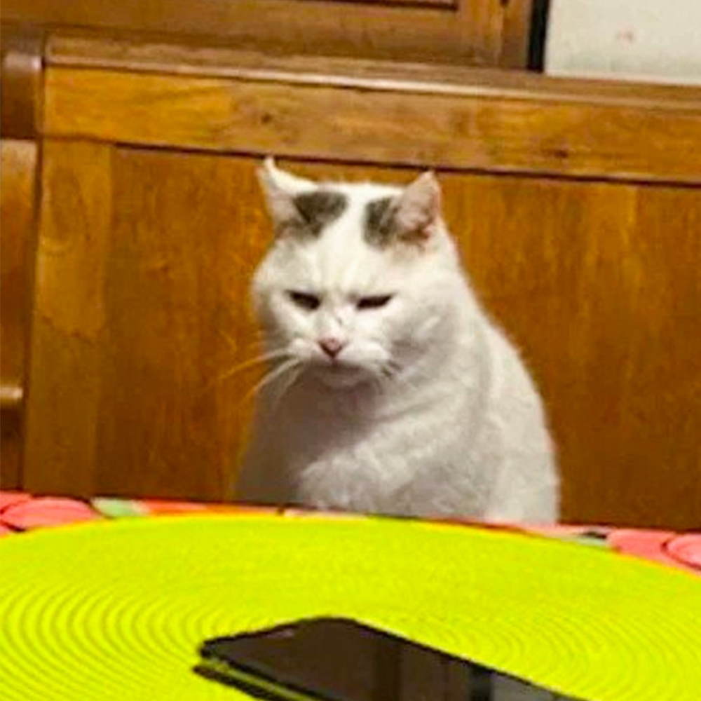 手機=不能吃=困惑=皺眉！