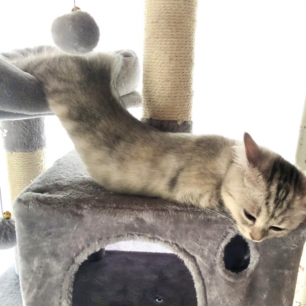 奴才：「這是被熱化了？？？」