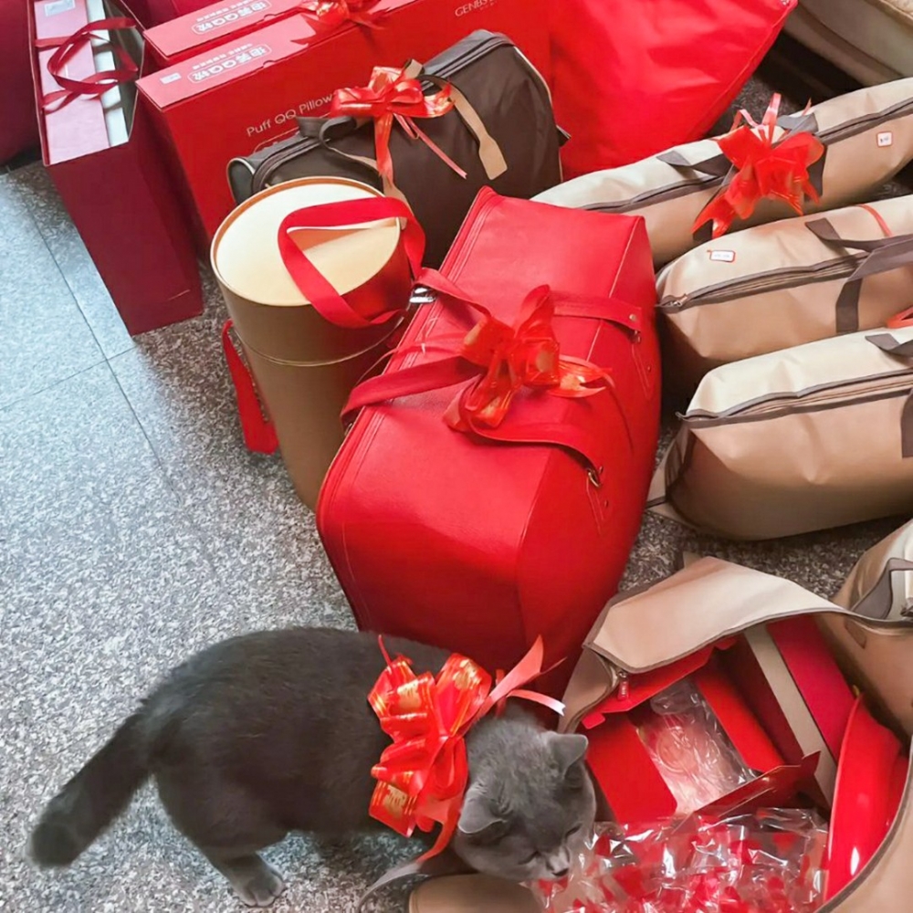 喵：「阿嬤給的罐罐都不加水～喜歡」