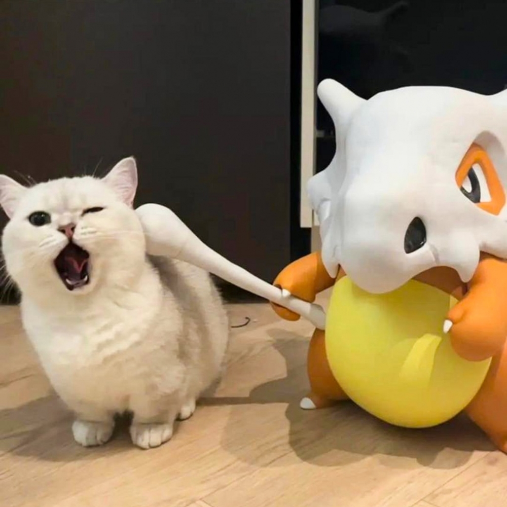 喵：「嗷！你打朕？罐罐賠償！」