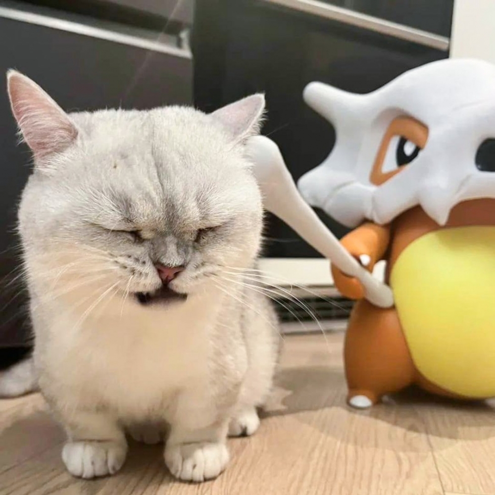 奴才：「委屈中帶點無措～完美收尾！」