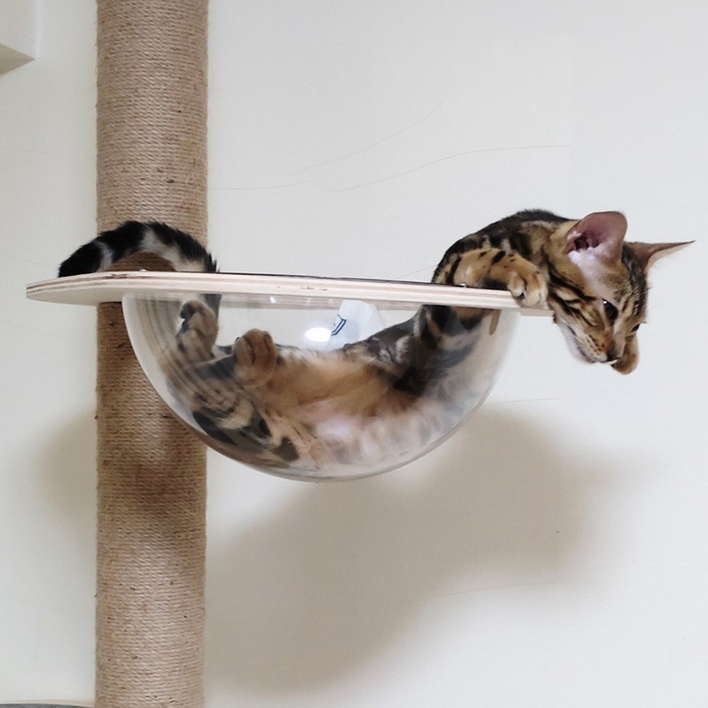 奴才：「我眼花吧？這不是蛇嗎？！」