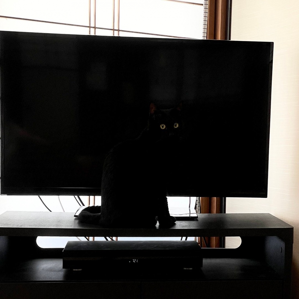 喵：「唉～露雙眼睛放水一下吧」