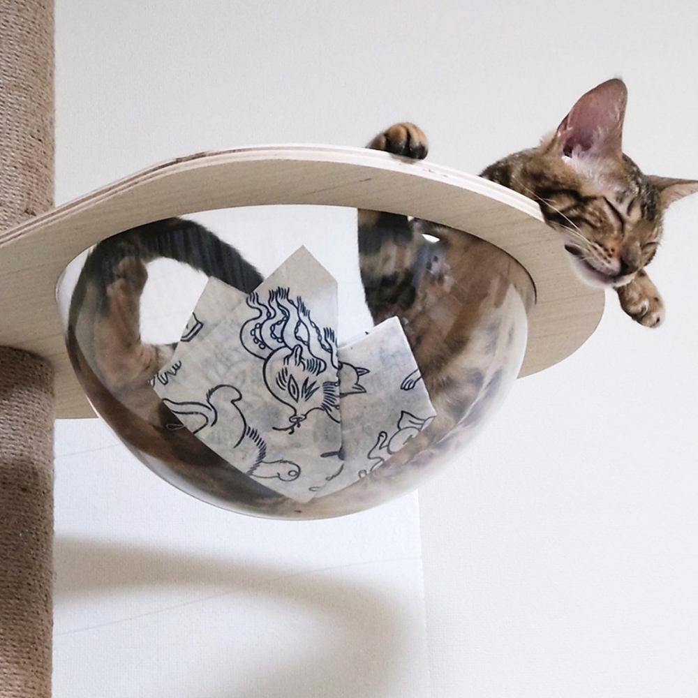 奴才：「這個角度好像喵喵蛇精XD」