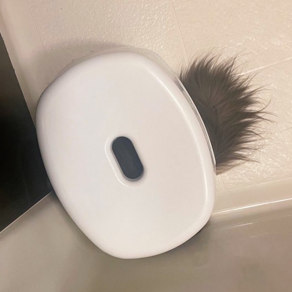 尾巴：「有隻貓咪在這裡喲～」