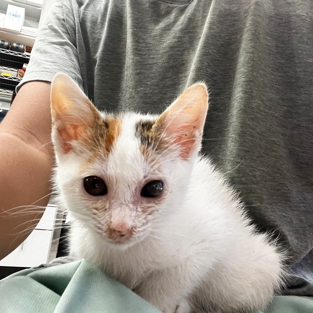 第一張合照get！