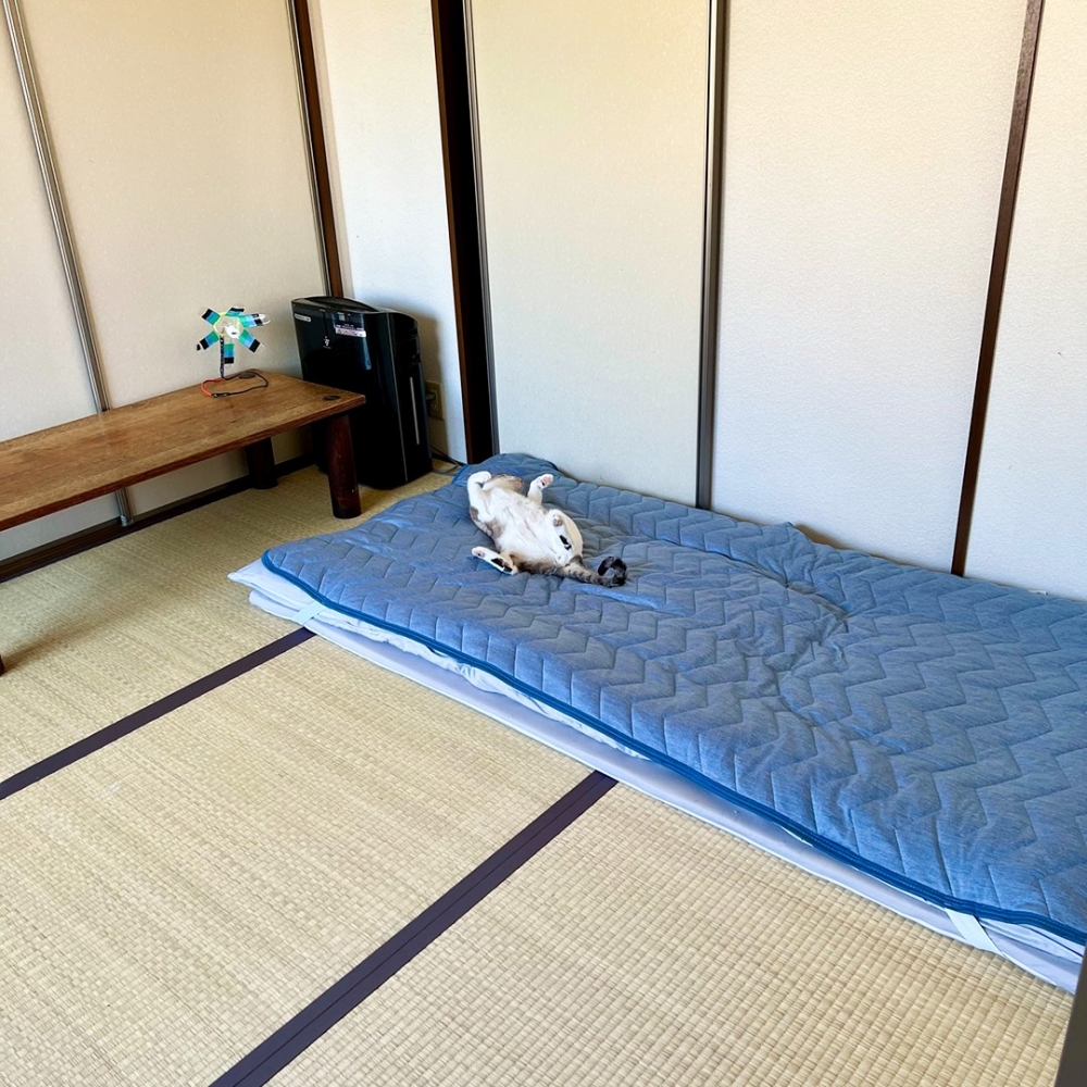 奴才:「來收個床墊吧~嗯?那是···」