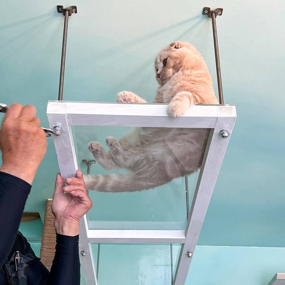 師傅：「突然···壓力山大」