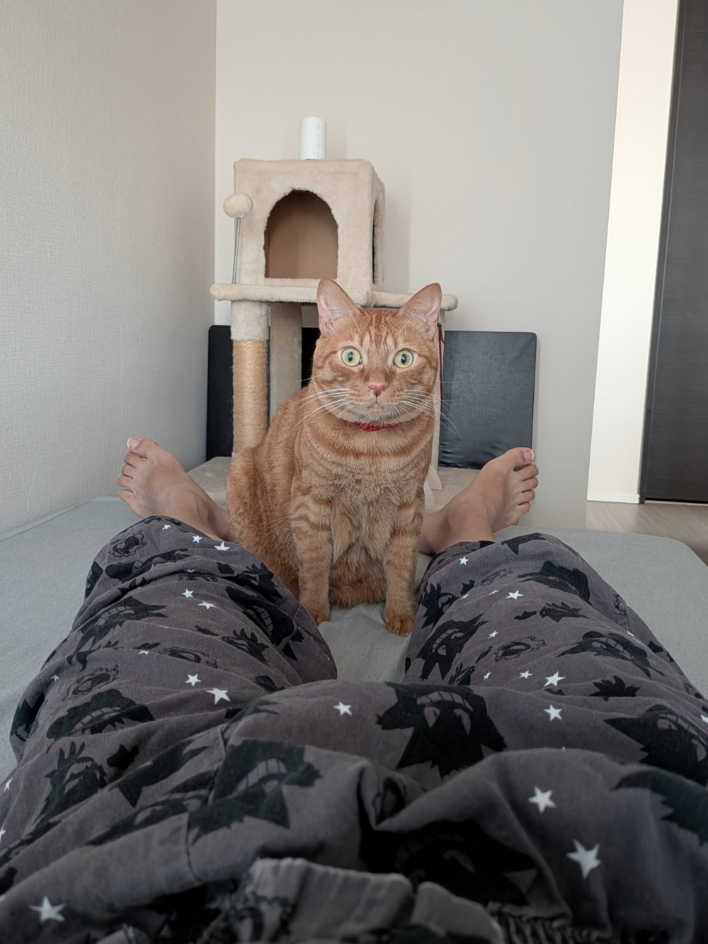 連奴才睡覺也眼睛大大粒盯著你～