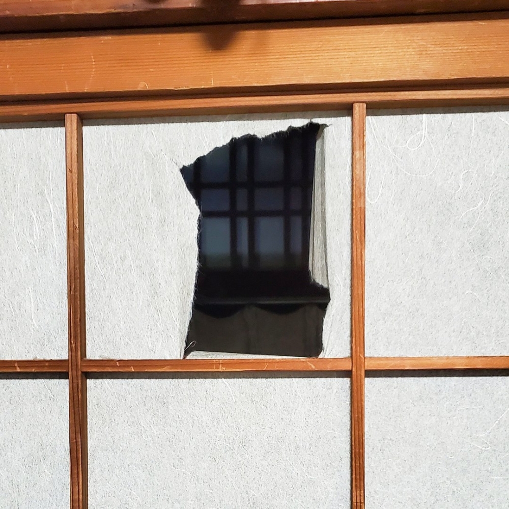 奴才：「還留下了犯罪的痕跡······」