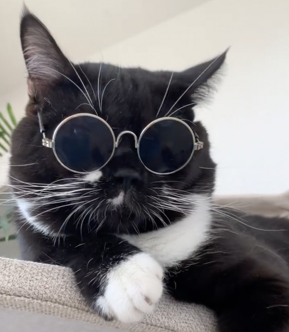 奴才：現在正常一點～