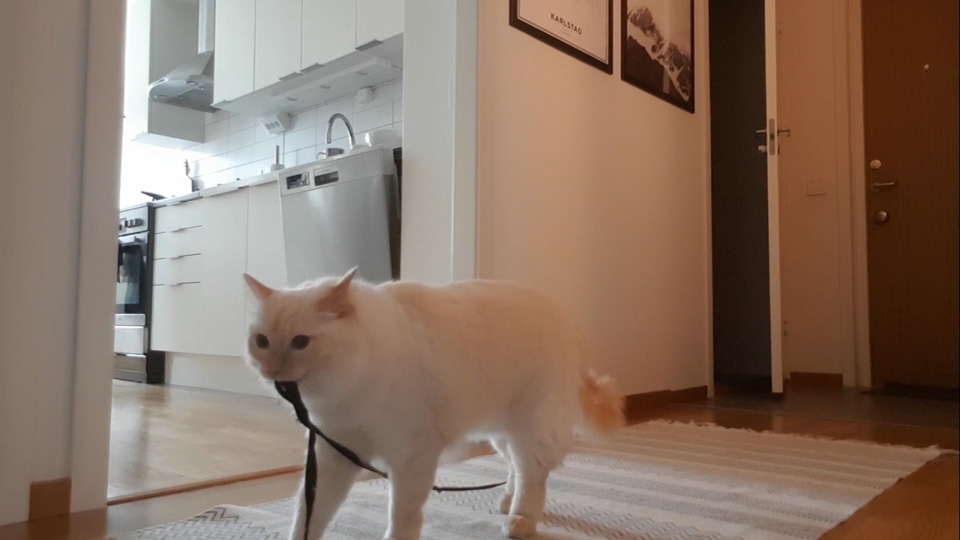 奴才：聽見了～聽見了～