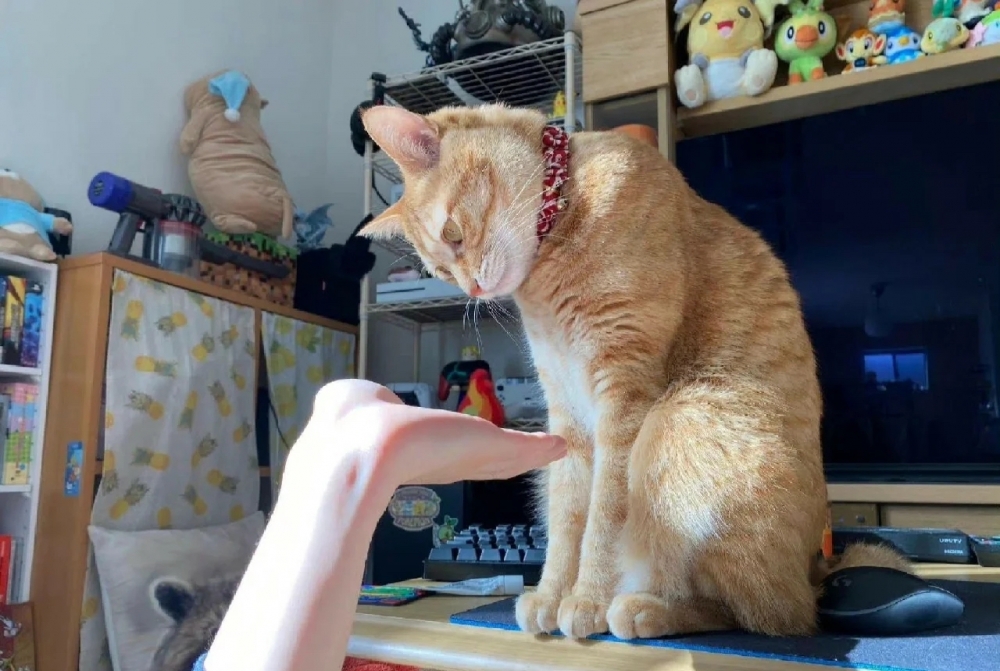 奴才：說點好聽的吧！