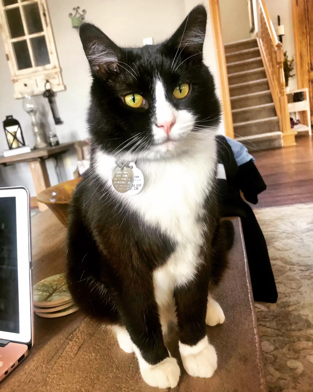 朕是長得是不是很帥