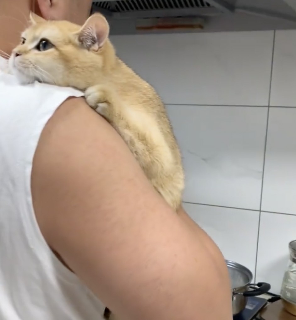 奴才太太：這是想要刺激我嗎