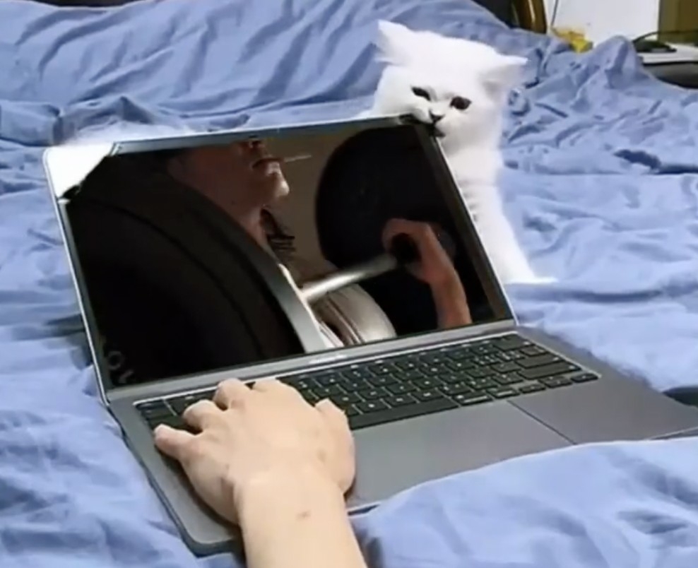 奴才：小小一隻你夠力氣？