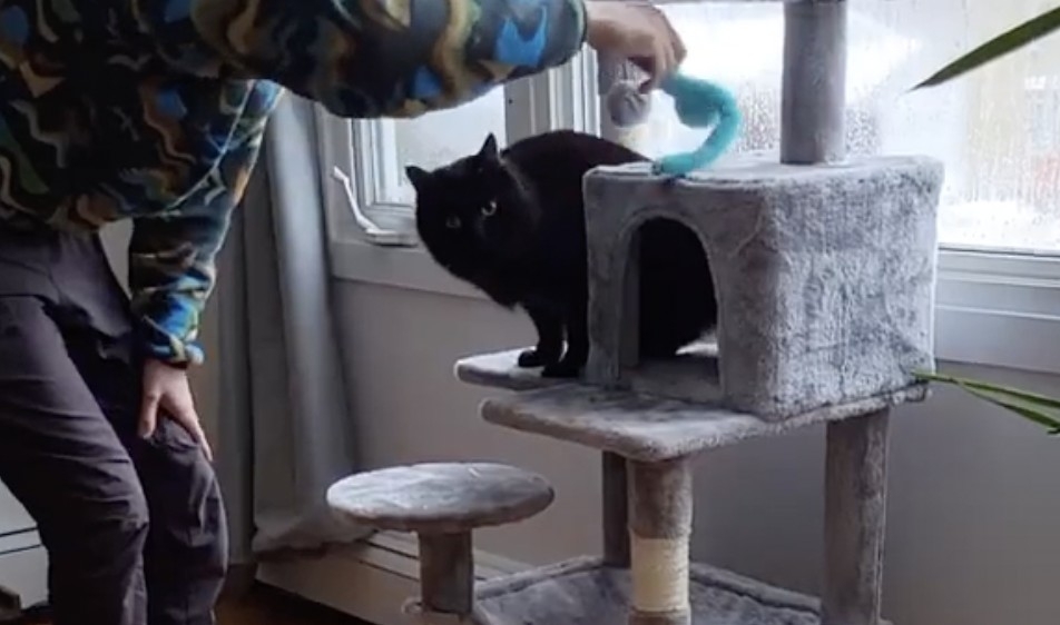 奴才：是否誇張了點呢？