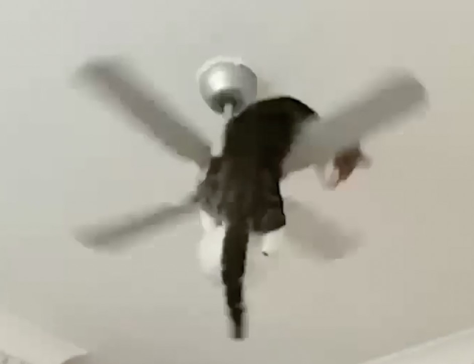 奴才:皮癢是不是!還敢再一次嗎?