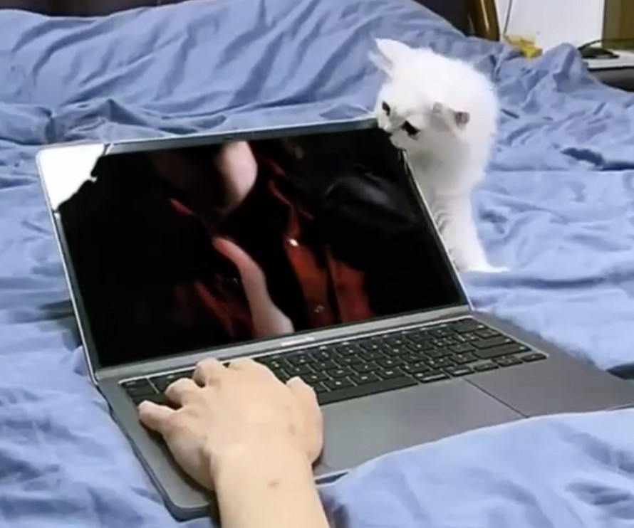 奴才：你有本事咬壞嗎？