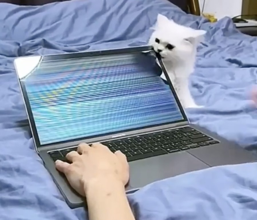 奴才：「血壓直線飆升ing」