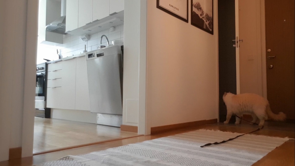 奴才：在趕回家的途中了啦...