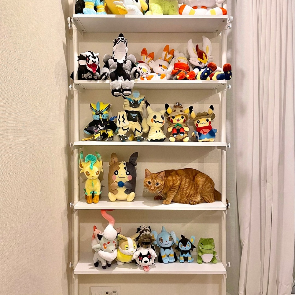 奴才：「好像混進了什麼東西？」