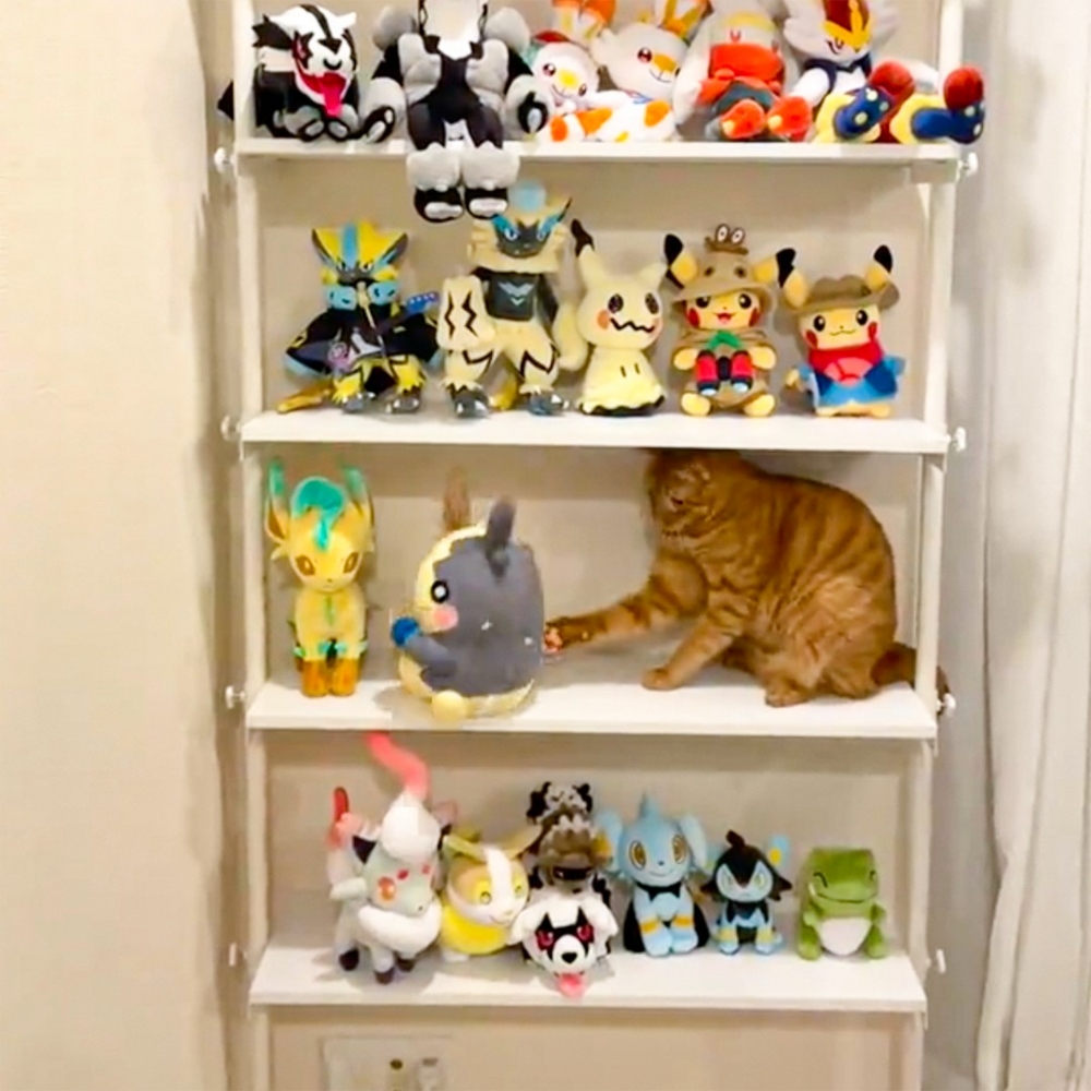 喵：「給朕下去吧你～」