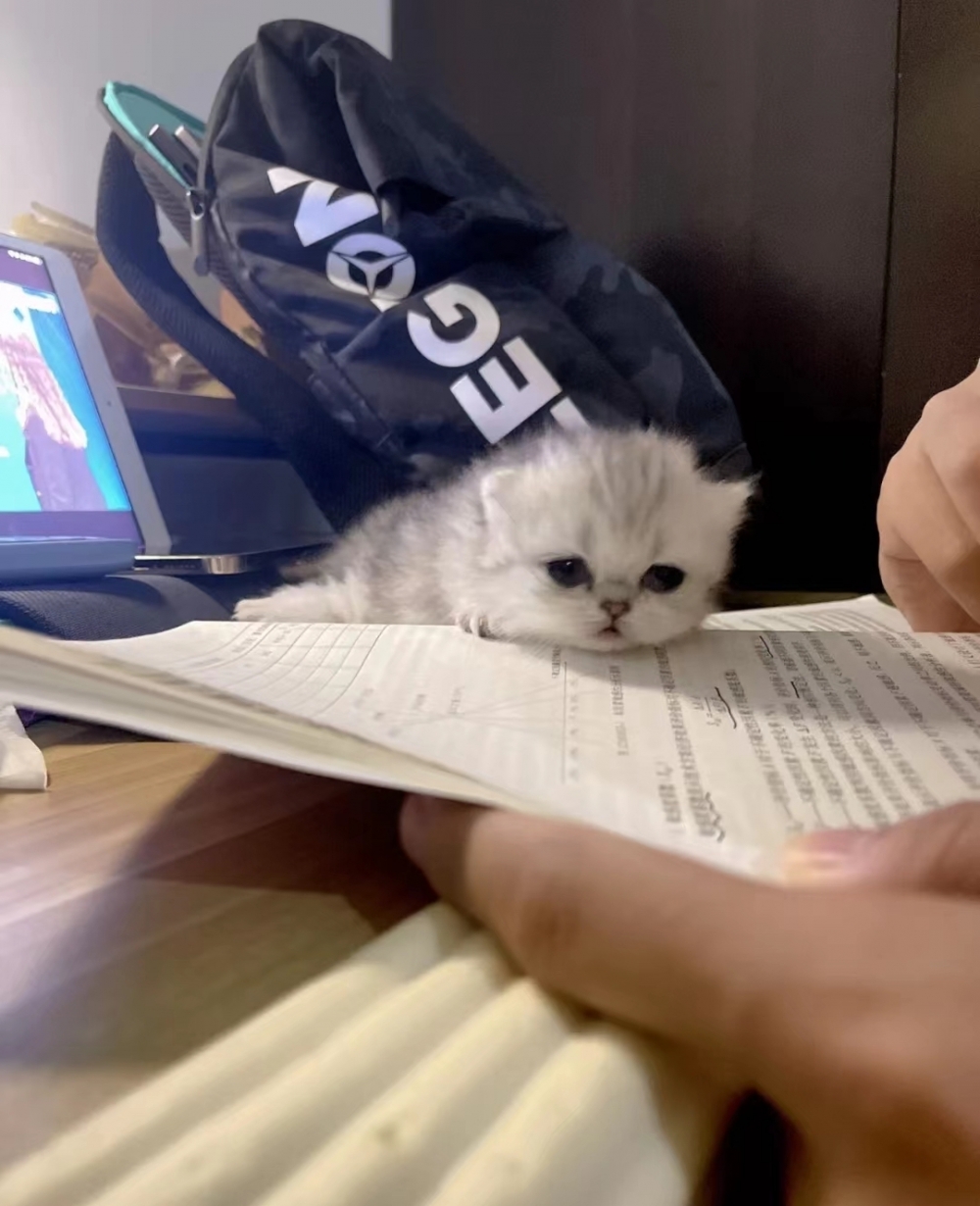 這裡有點蘇胡喔～