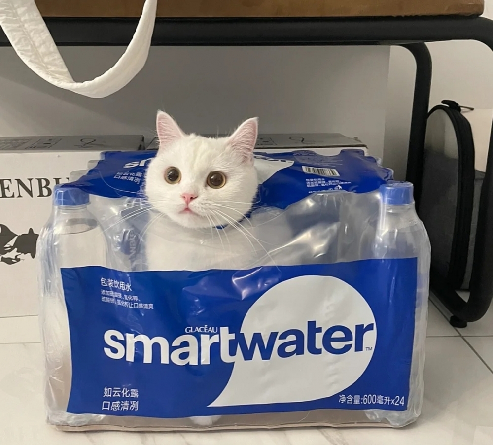 奴才：我買的是純淨水欸