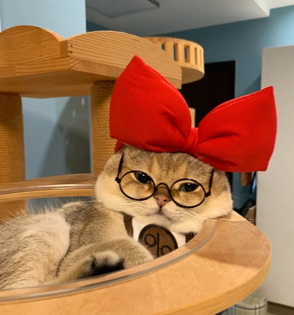 奴才：等下就帶你上街