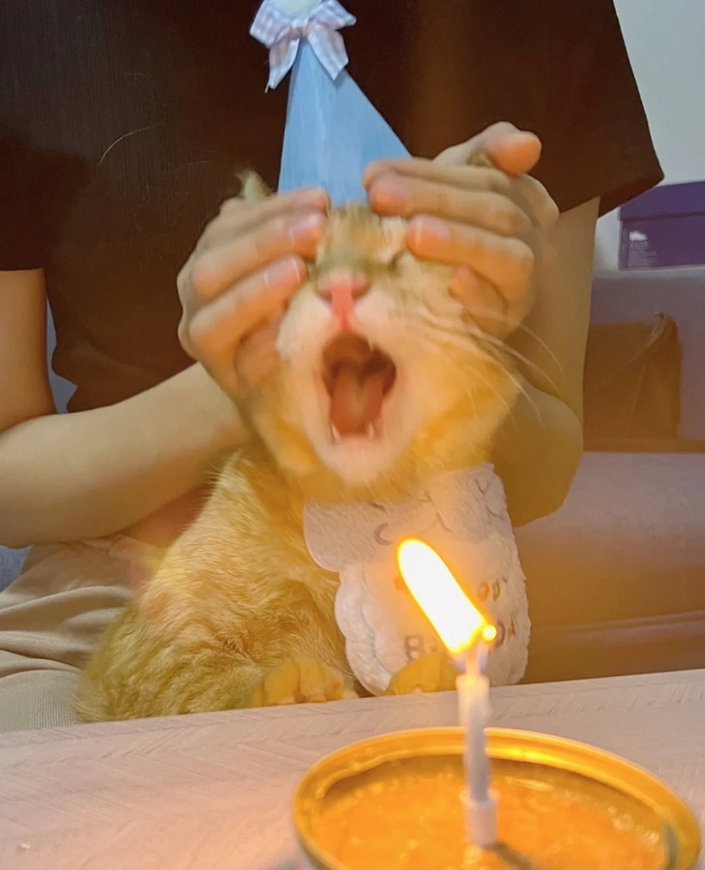 奴才：等一下，還沒有拍照留念欸