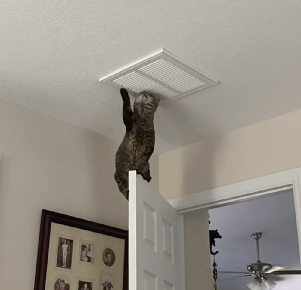 奴才：要仔細檢查喔