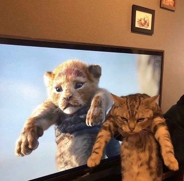 奴才:一下下而已,那麼生氣幹嘛啦