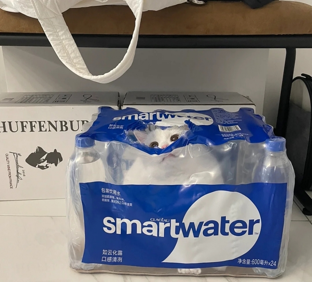 奴才：一眼就看到你啦