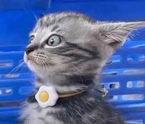 奴才：感受到了憤怒的威力