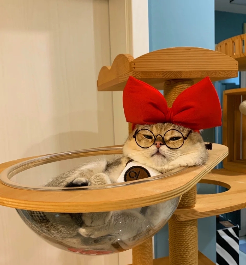 奴才：這些都是我小時候的夢想欸