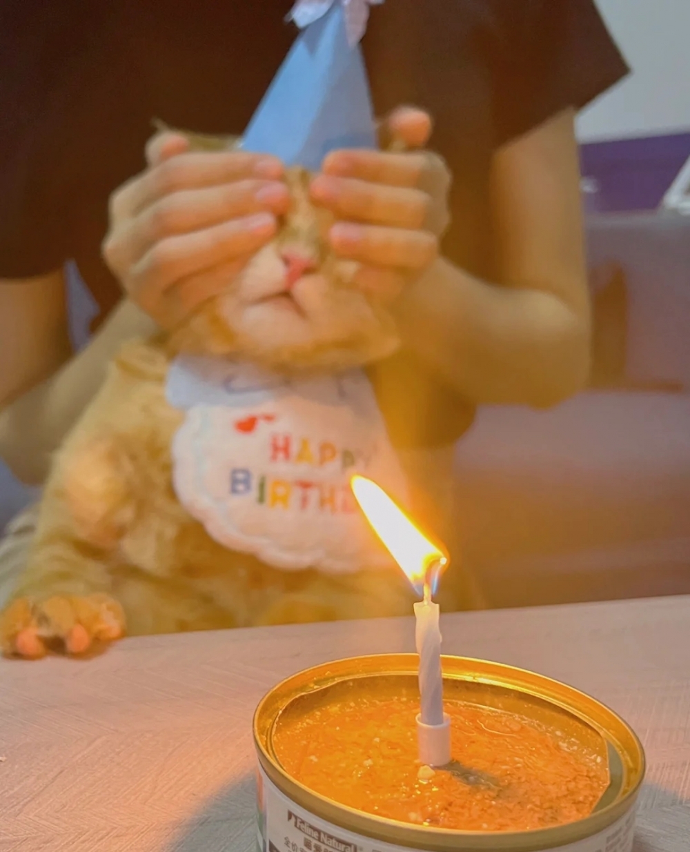 奴才：你就先假裝沒看見喵罐頭蛋糕吧！