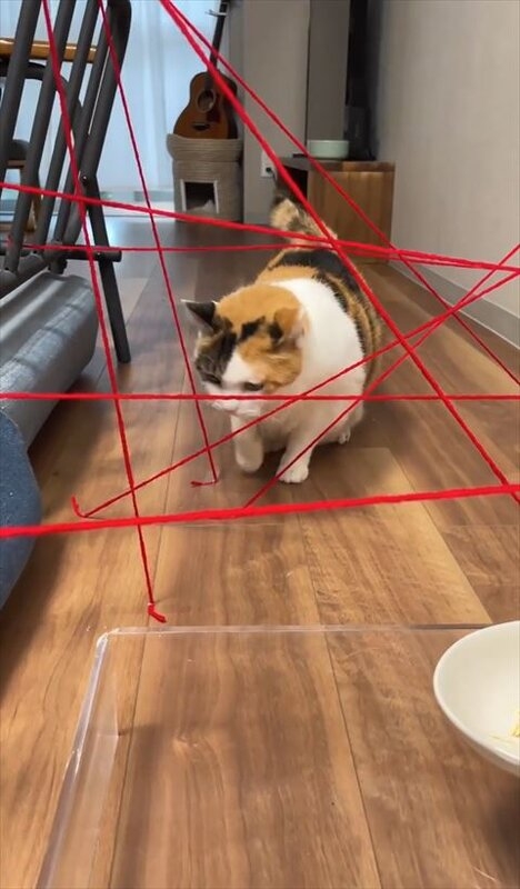 奴才：考驗你的時候到啦