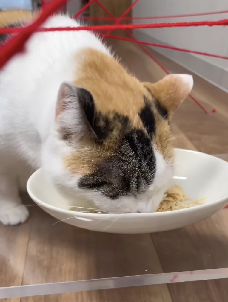 奴才：知道啦，下次搞一個高難度的！