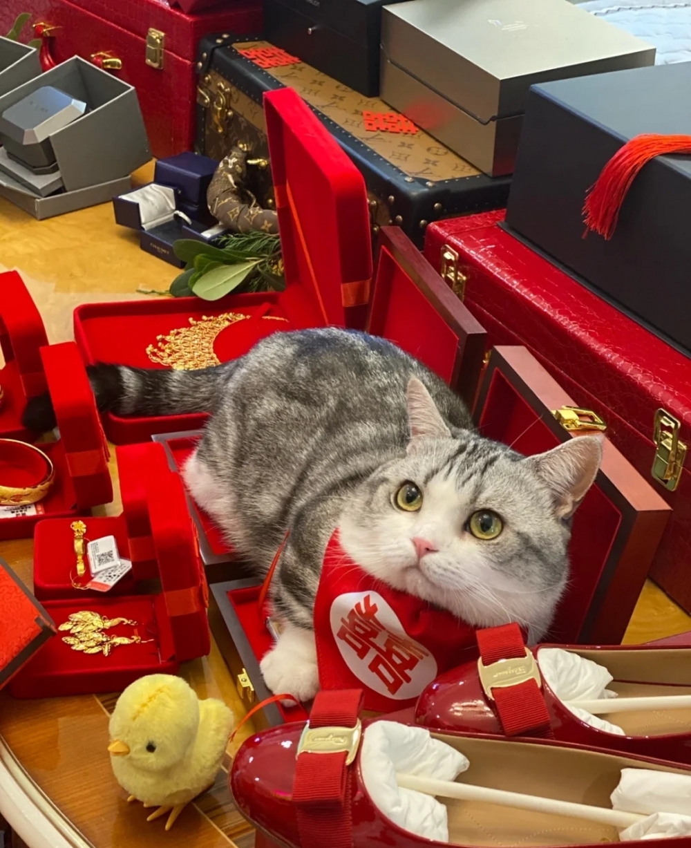 喵：那就希望也吸引一些「桃花」過來吧～