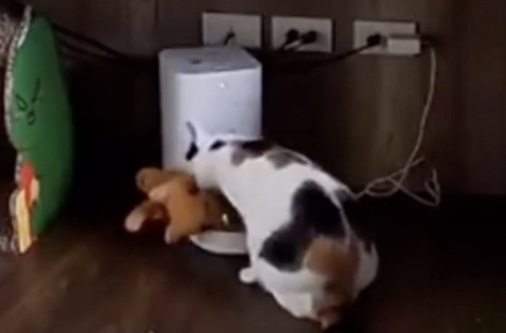 公仔玩具：—.—lll