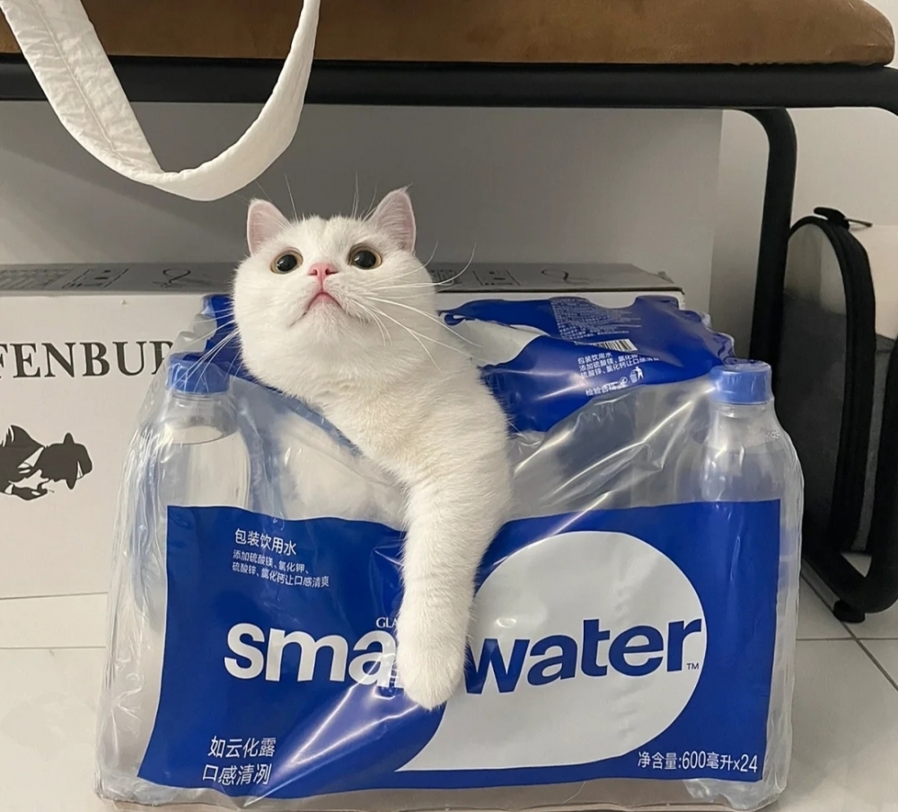 奴才：給你吃喝算是抵銷了