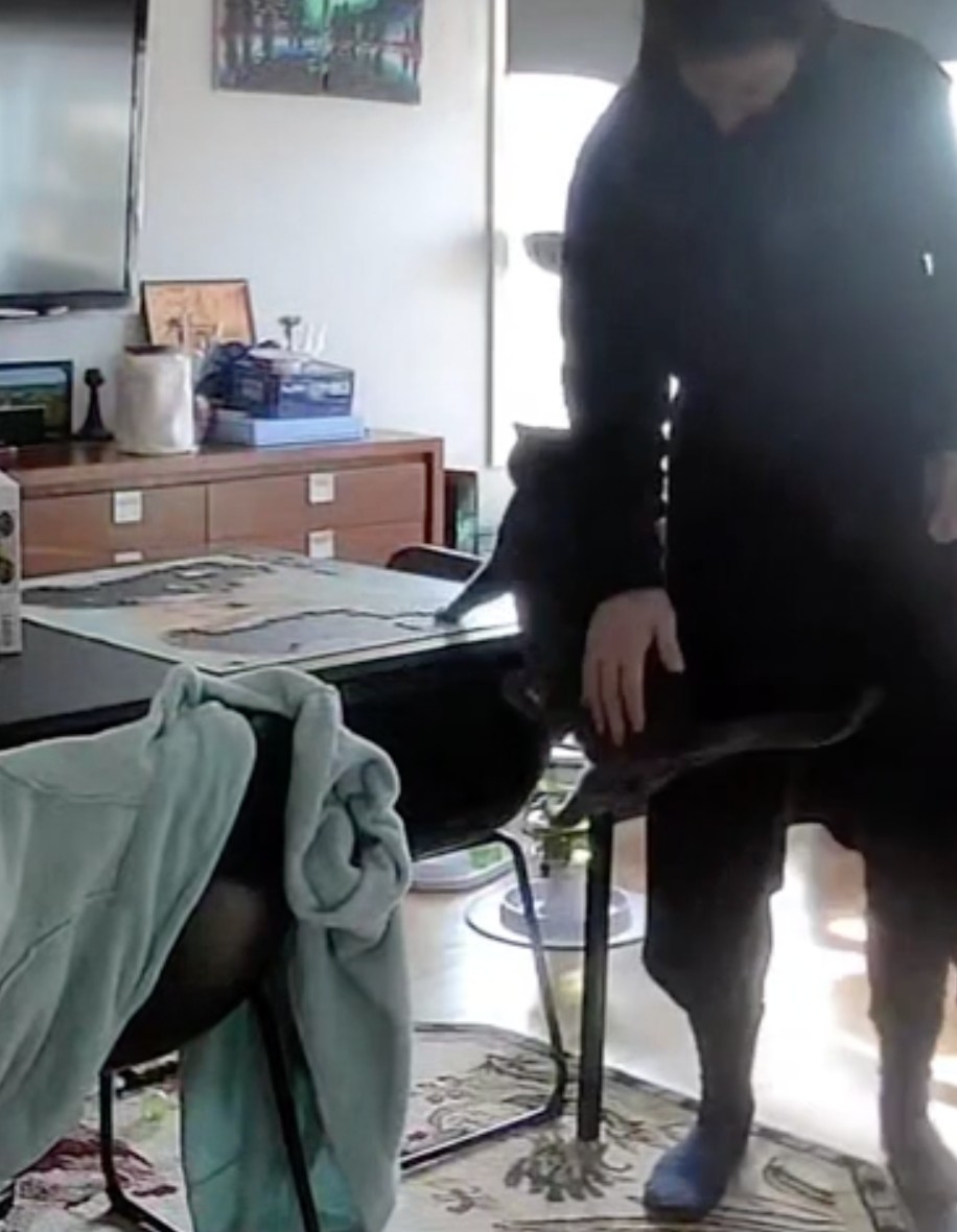 喵：朕可是無辜的好嗎！