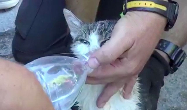 奴才很想念你喔～