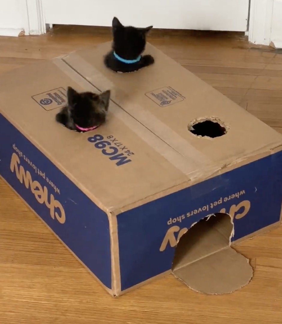 喵：這個好好玩啊