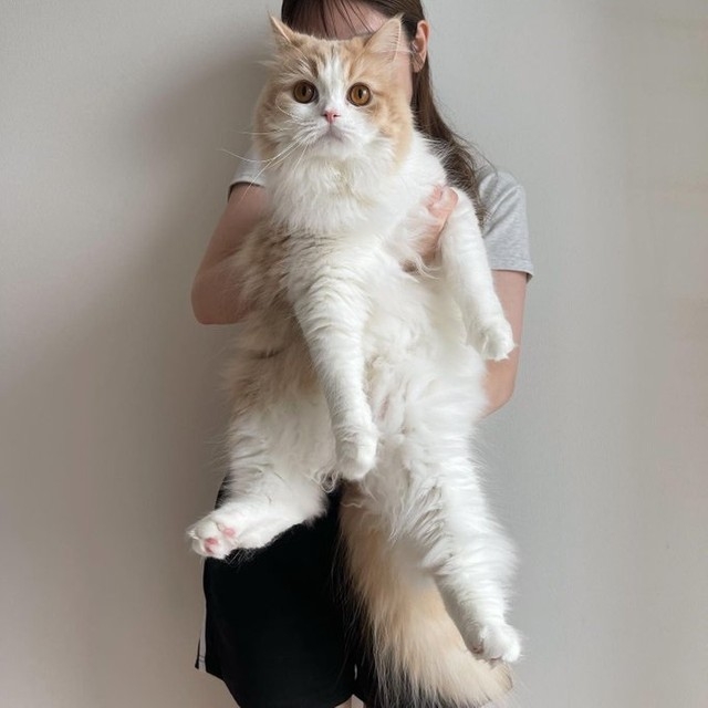 奴才：要知道你現在才2歲喔～