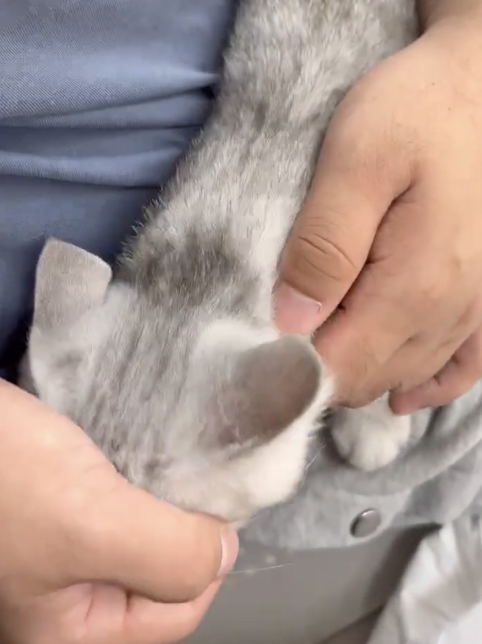 醫生：要打囉～